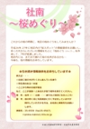 桜めぐり募集